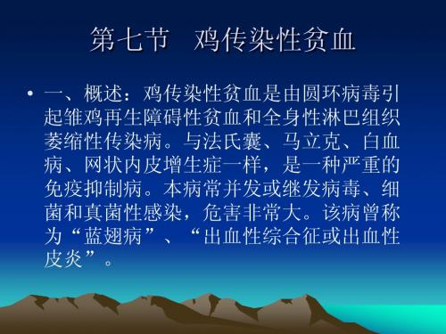 第七节   鸡传染性贫血