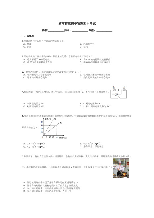 湖南初三初中物理期中考试带答案解析
