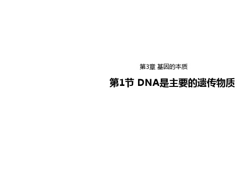 2020-2021学年高中生物人教版必修二课件：3.1DNA是主要的遗传物质