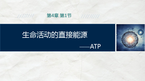 沪教版生物高一第一册-4.1 生命活动的直接能源——ATP  课件 