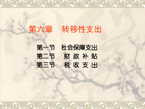 财政学第六版第6章精品PPT课件