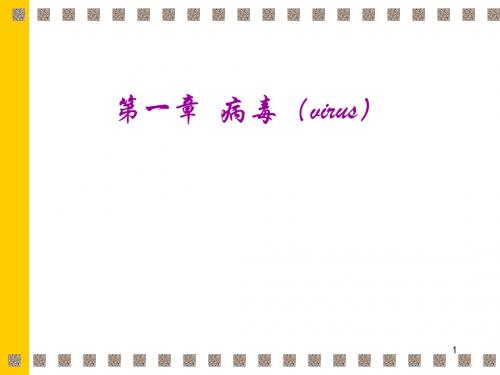 一章病毒virus