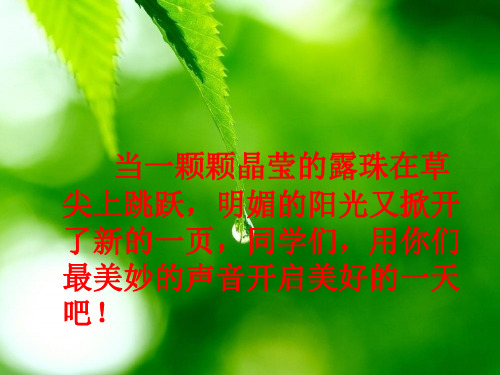 新苏教版语文一年级下册《叶子的眼睛》课件-18页PPT资料