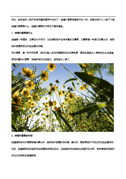 越橘叶黄素的作用和食用方法