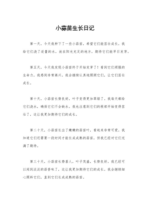 小蒜苗生长日记