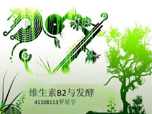 维生素B2与发酵-41108113