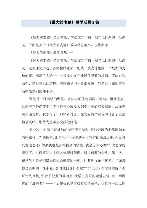 《最大的麦穗》教学反思2篇
