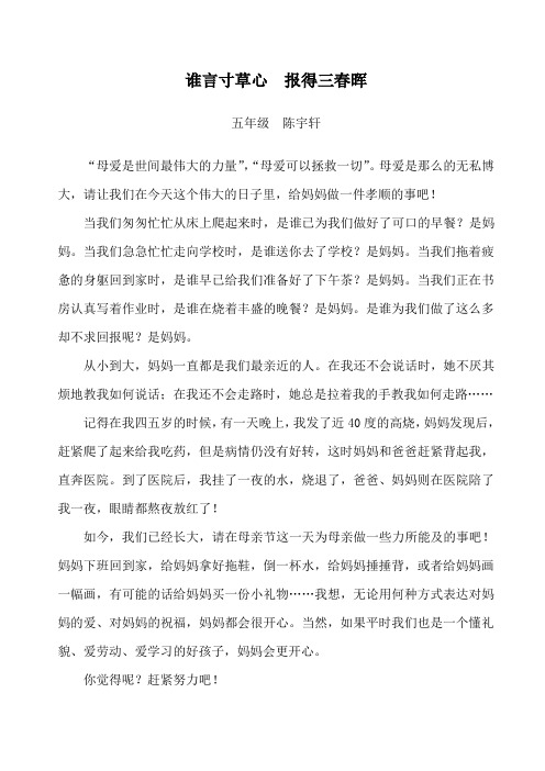 2015.5.10陈宇轩作文：谁言寸草心  报得三春晖