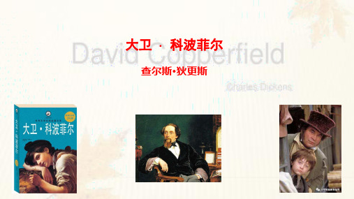 《大卫·科波菲尔》优秀课件
