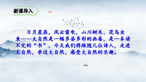 人教部编版语文《宿建德江》PPT精美课件2