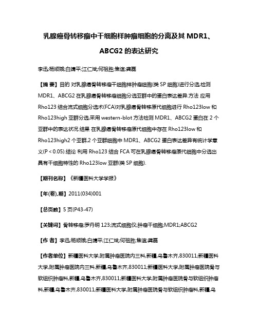 乳腺癌骨转移瘤中干细胞样肿瘤细胞的分离及其MDR1、ABCG2的表达研究