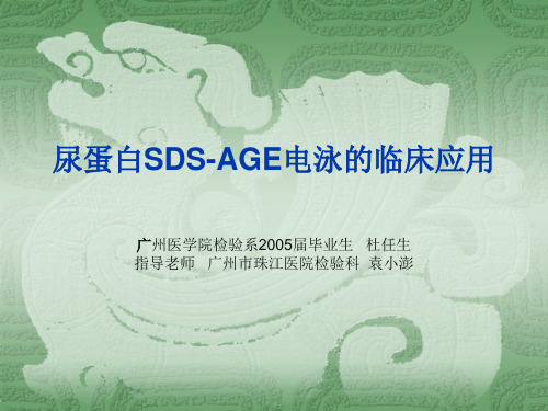 尿蛋白-  Presentation