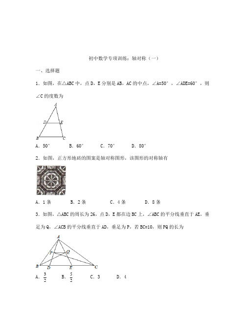 初三数学轴对称专项训练及答案解析