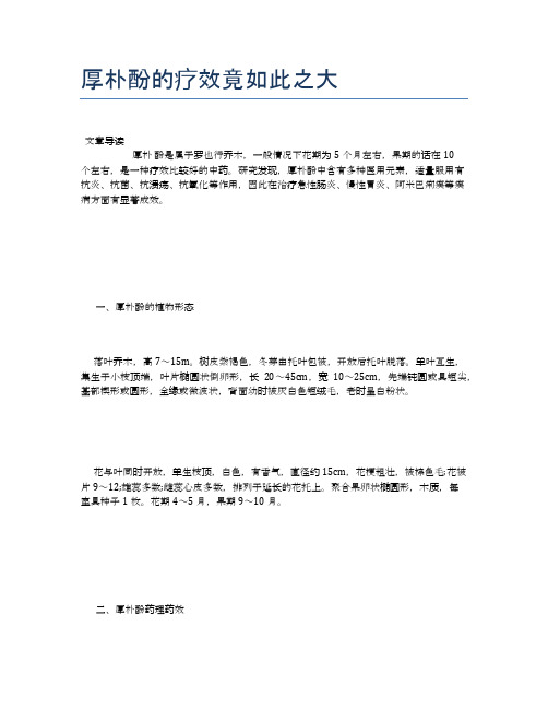 厚朴酚的疗效竟如此之大【健康小知识】