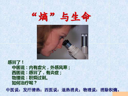 熵与健康
