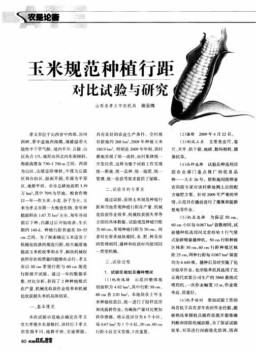 玉米规范种植行距对比试验与研究