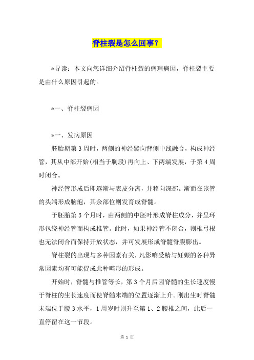 脊柱裂是怎么回事？