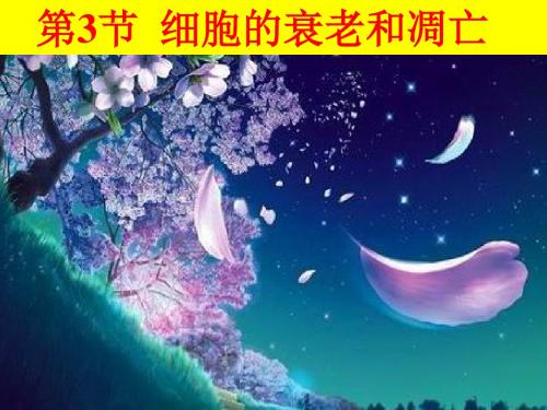 细胞的衰老与凋亡