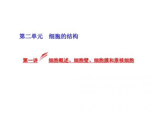三维设计·2016高考生物(浙科版)一轮课件：必修1-2.1细胞概述、细胞壁、细胞膜和原核细胞