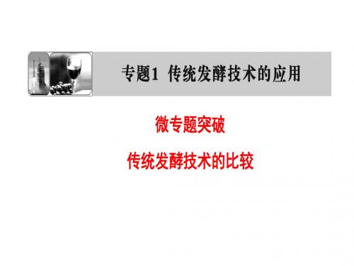 高中生物人教版选修一(课件) 专题1 传统发酵技术的应用 专题1 微专题突破