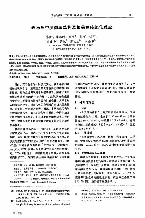 斑马鱼中脑微细结构及相关免疫组化反应