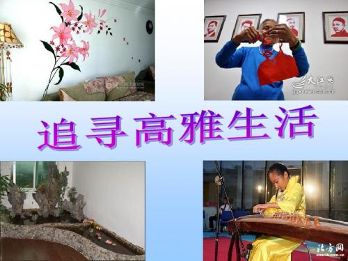 人教版七年级思想品德上册课件7.2追寻高雅生活情趣
