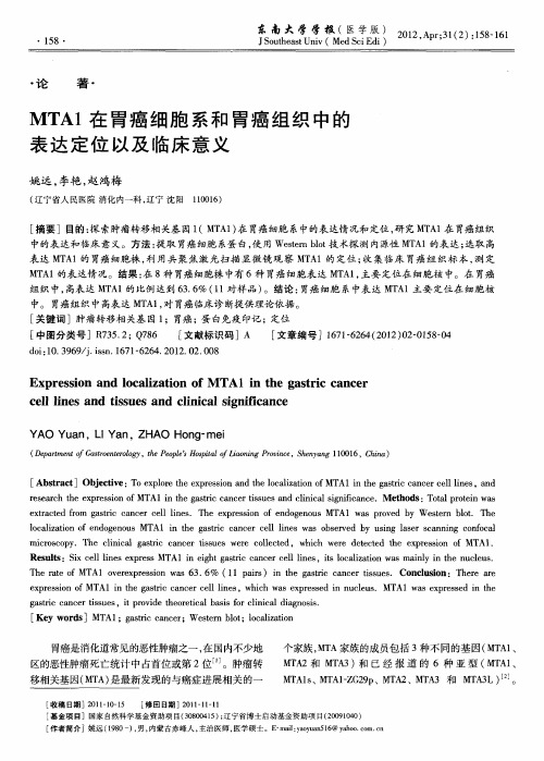 MTA1在胃癌细胞系和胃癌组织中的表达定位以及临床意义