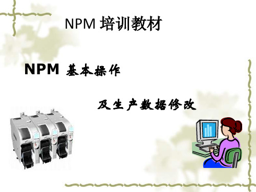 NPM基本操作及生产数据修改