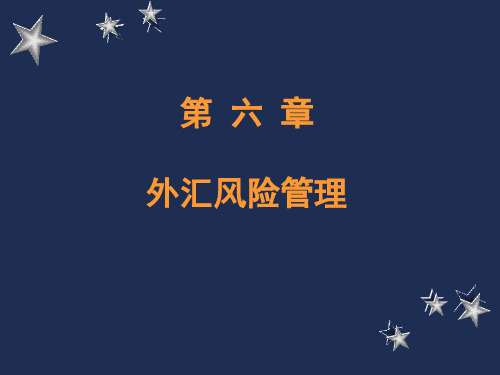 第六章  外汇风险g教学讲义