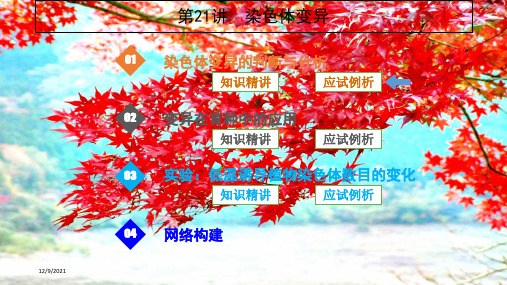 高考生物一轮复习第21讲染色体变异课件高三全册生物课件