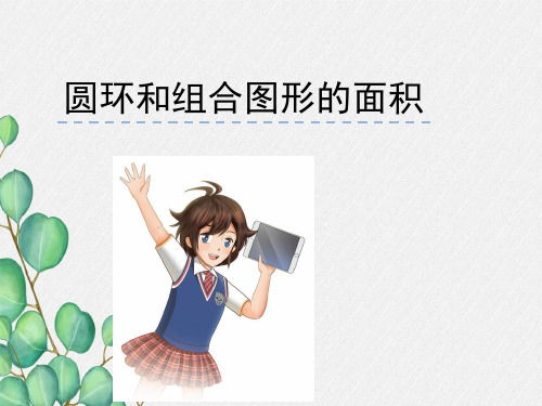 《圆环与组合图形的面积》课件 2022年苏教版小学数学精品PPT