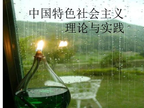 中国特色社会理论与实践-PPT精品文档