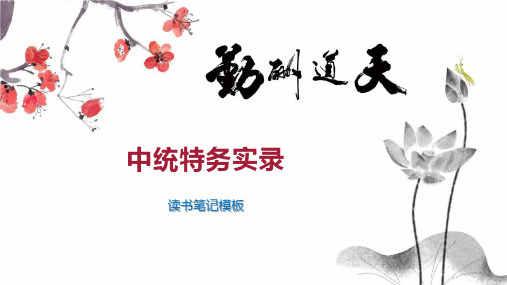中统特务实录