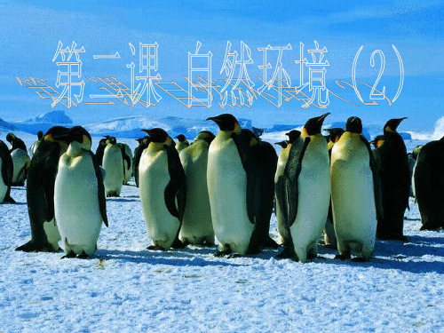 第二单元第二课气象万千和风光迥异-25页文档资料