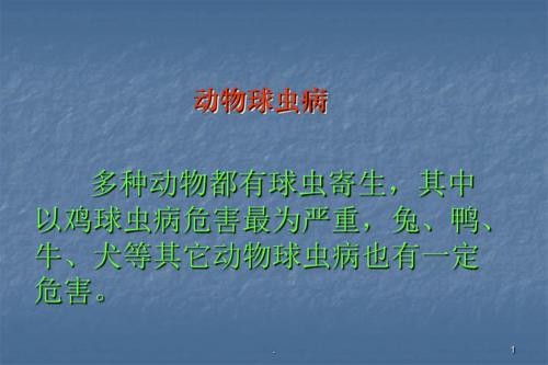 动物球虫病PPT医学课件