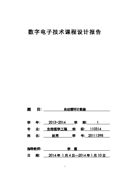 自动循环计数器(真正能实现自动)