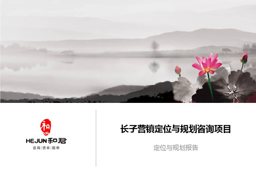 定位与规划咨询项目规划报告
