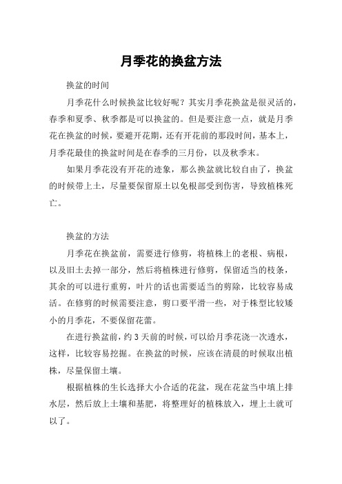 月季花的换盆方法