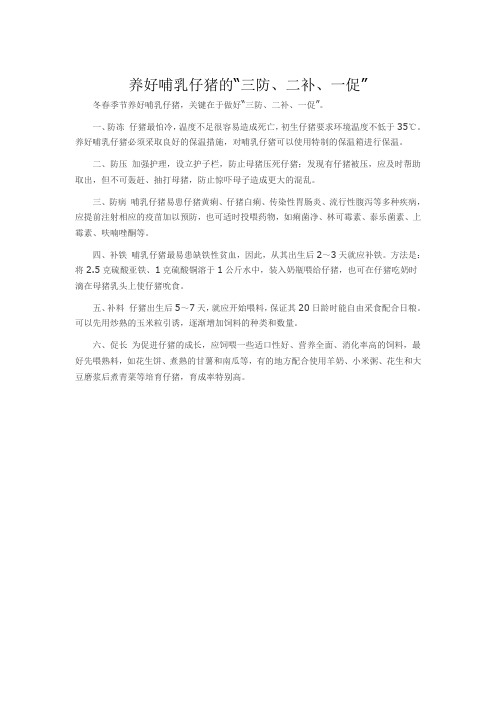 养好哺乳仔猪的