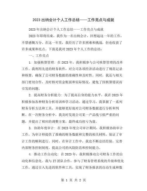 2023出纳会计个人工作总结——工作亮点与成就