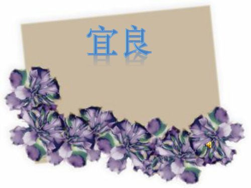 昆明宜良简介
