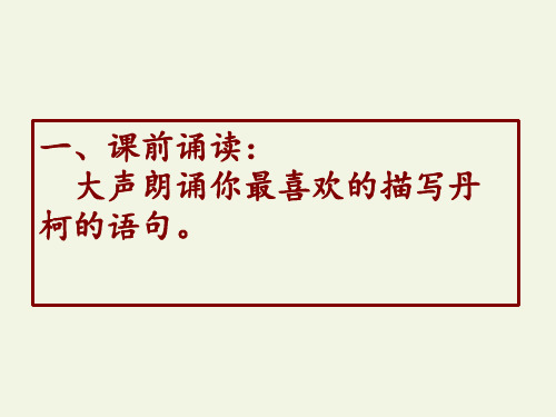 2020-2021学年人教高中语文版选修《外国小说欣赏》 第三单元《丹柯》课件(15张PPT)
