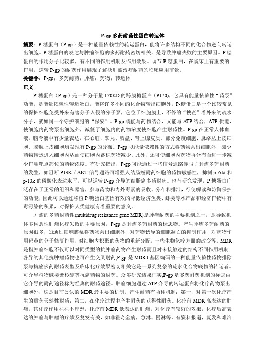 P-gp多药耐药性蛋白转运体