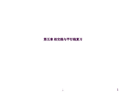 新人教版七年级下册数学期中复习ppt课件