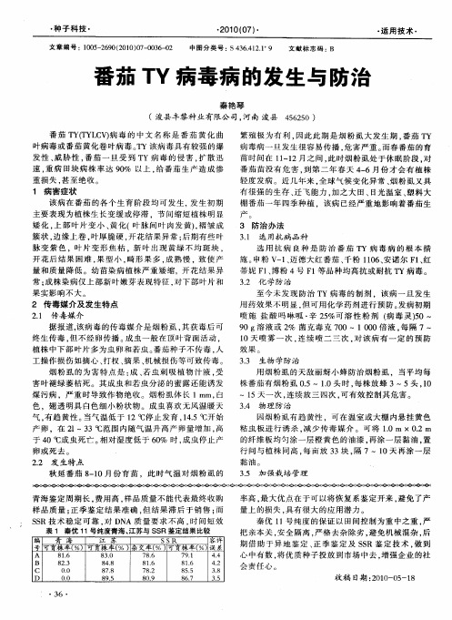 番茄TY病毒病的发生与防治