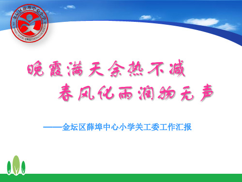 关工委常态化建设汇报(PPT文档)