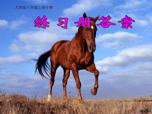 练习册答案