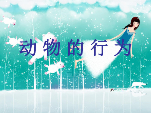 动物的行为_1中小学PPT教学课件