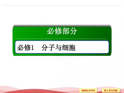 2018届高考生物一轮复习课件：1-6-1 细胞的增殖