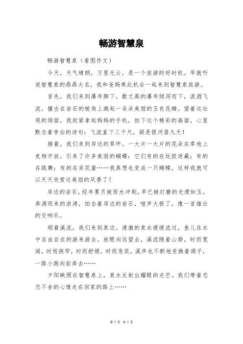 畅游智慧泉_四年级作文